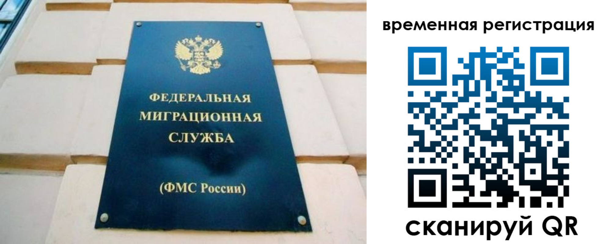 прописка гарантия в Луге